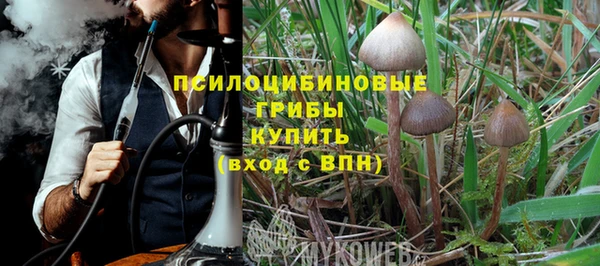 apvp Абдулино