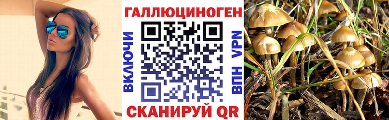 хочу наркоту  Истра  Галлюциногенные грибы MAGIC MUSHROOMS 